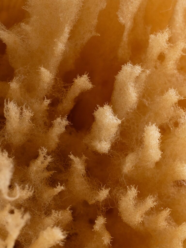 Instagram post from picture_your_products. This post is in position 3.