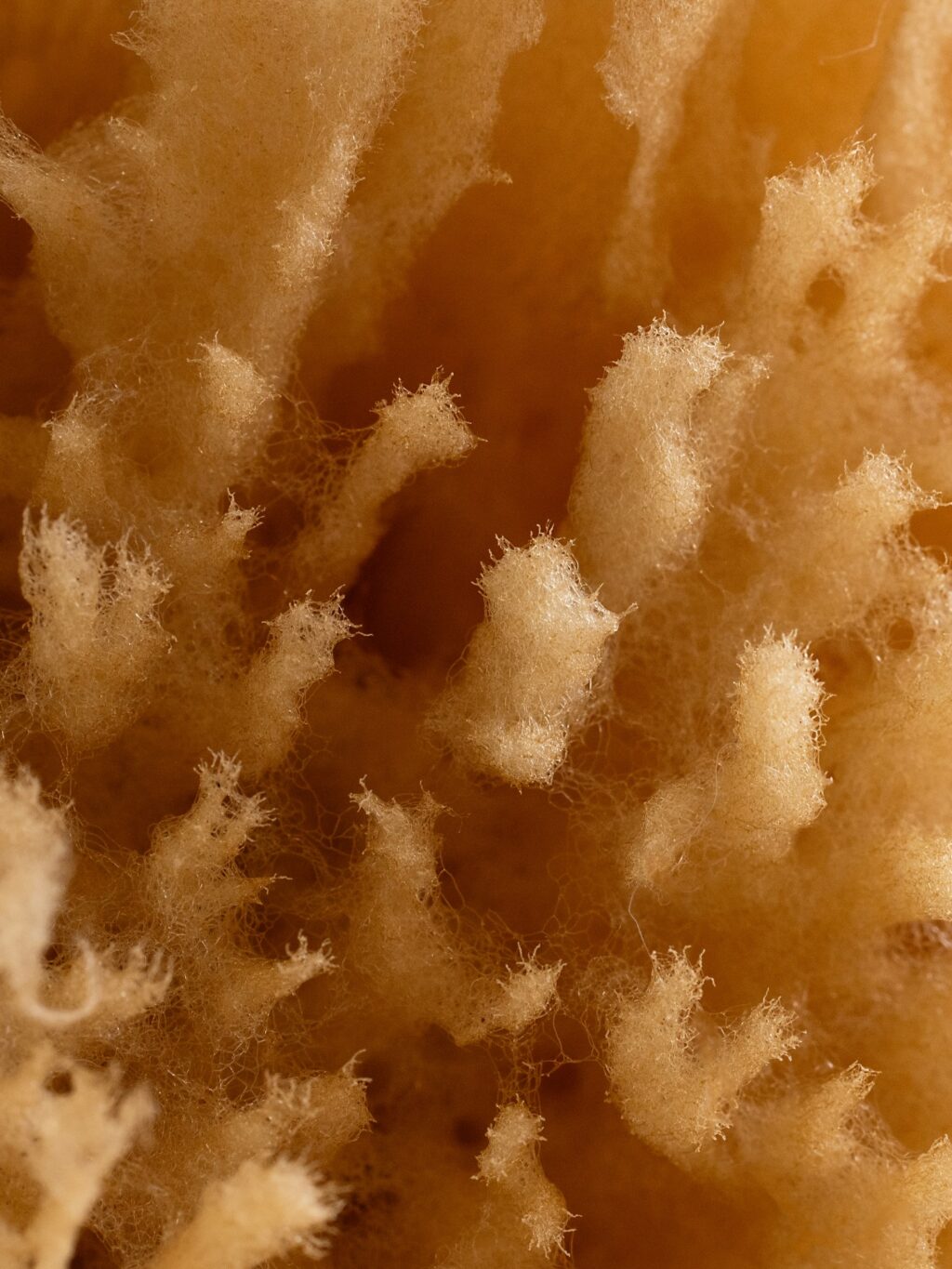 Instagram post from picture_your_products. This post is in position 0.